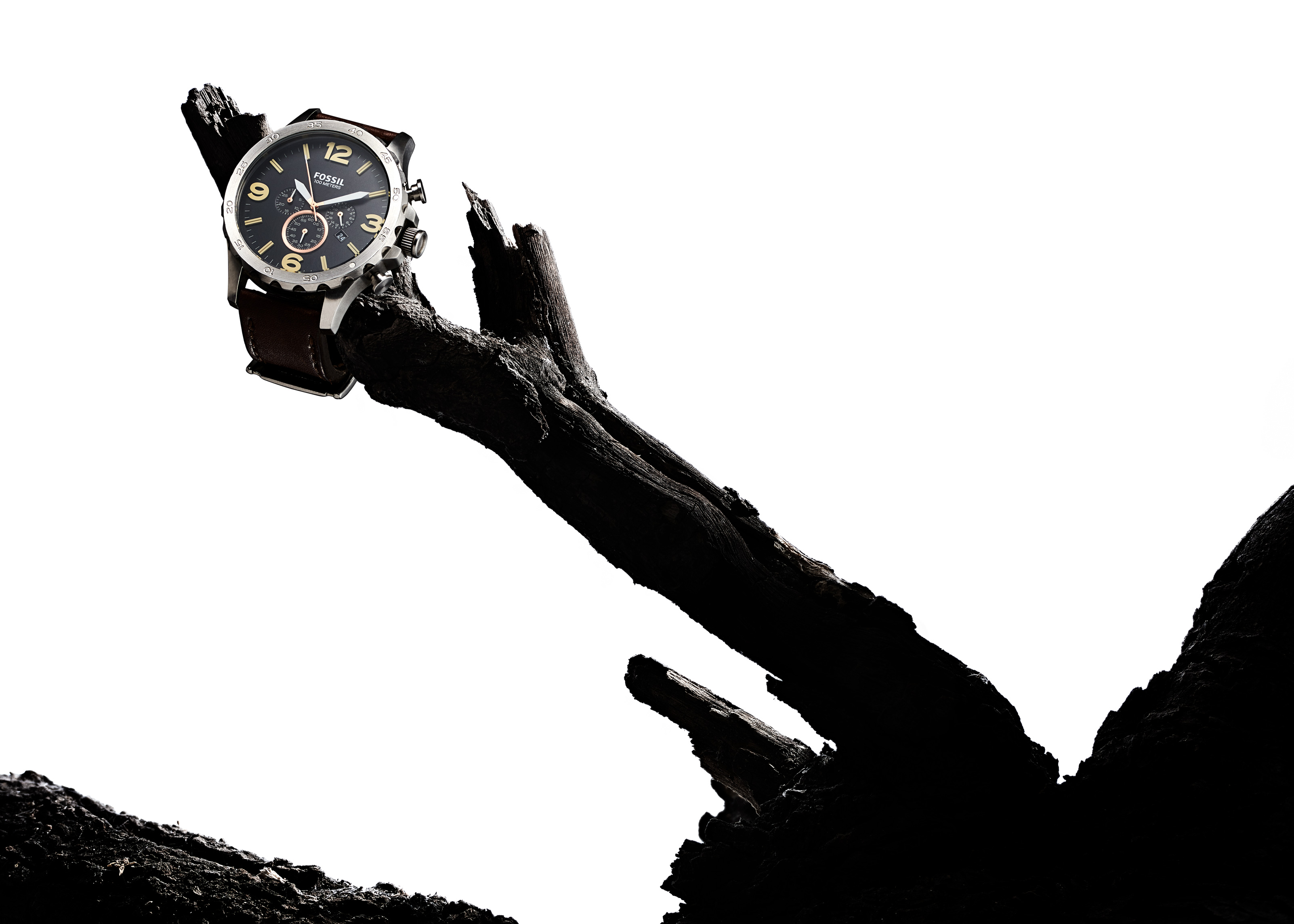 Fossil watch on a burnt branch 