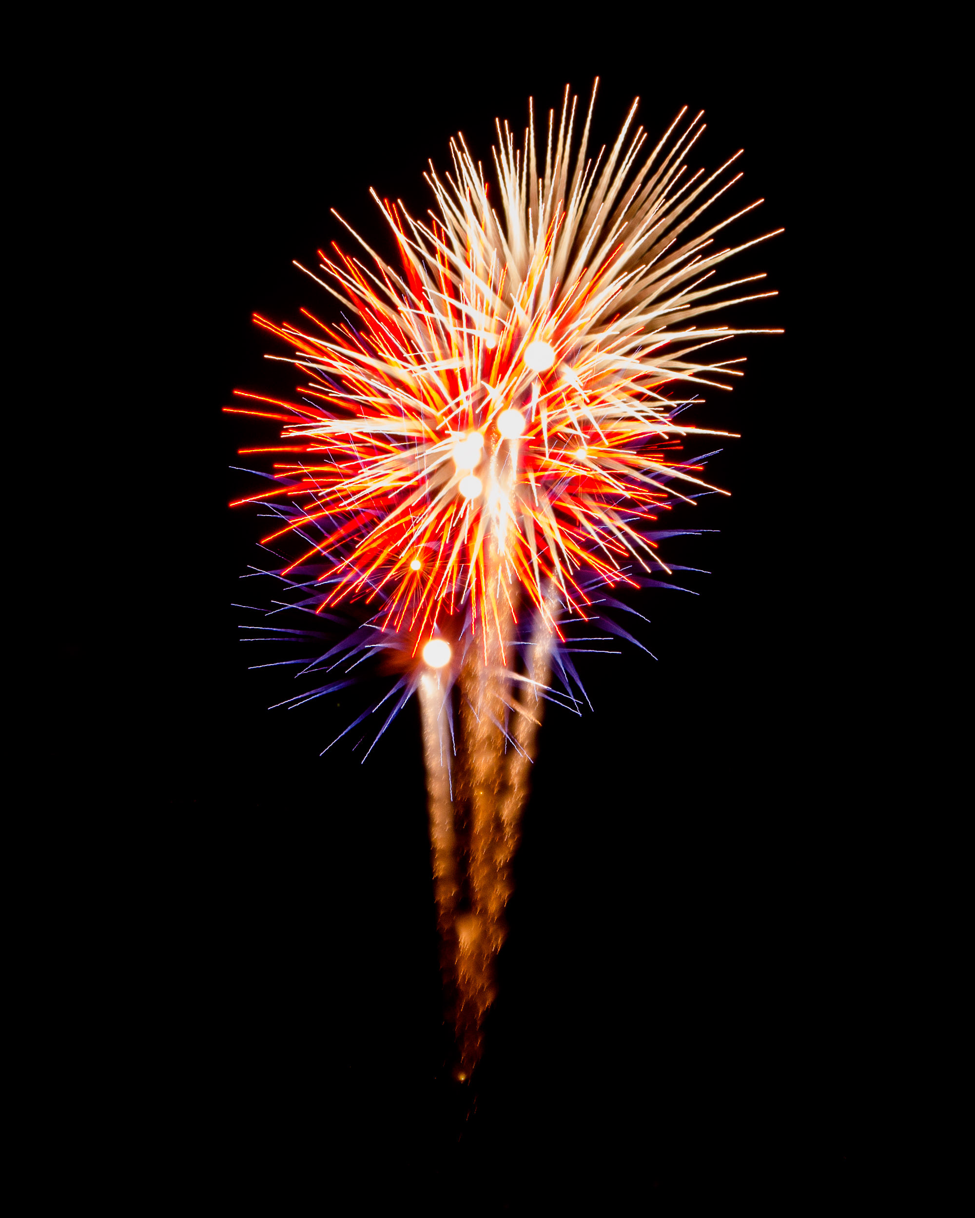 Firework Photo, Night Flower 40, WIRED Magazine 
