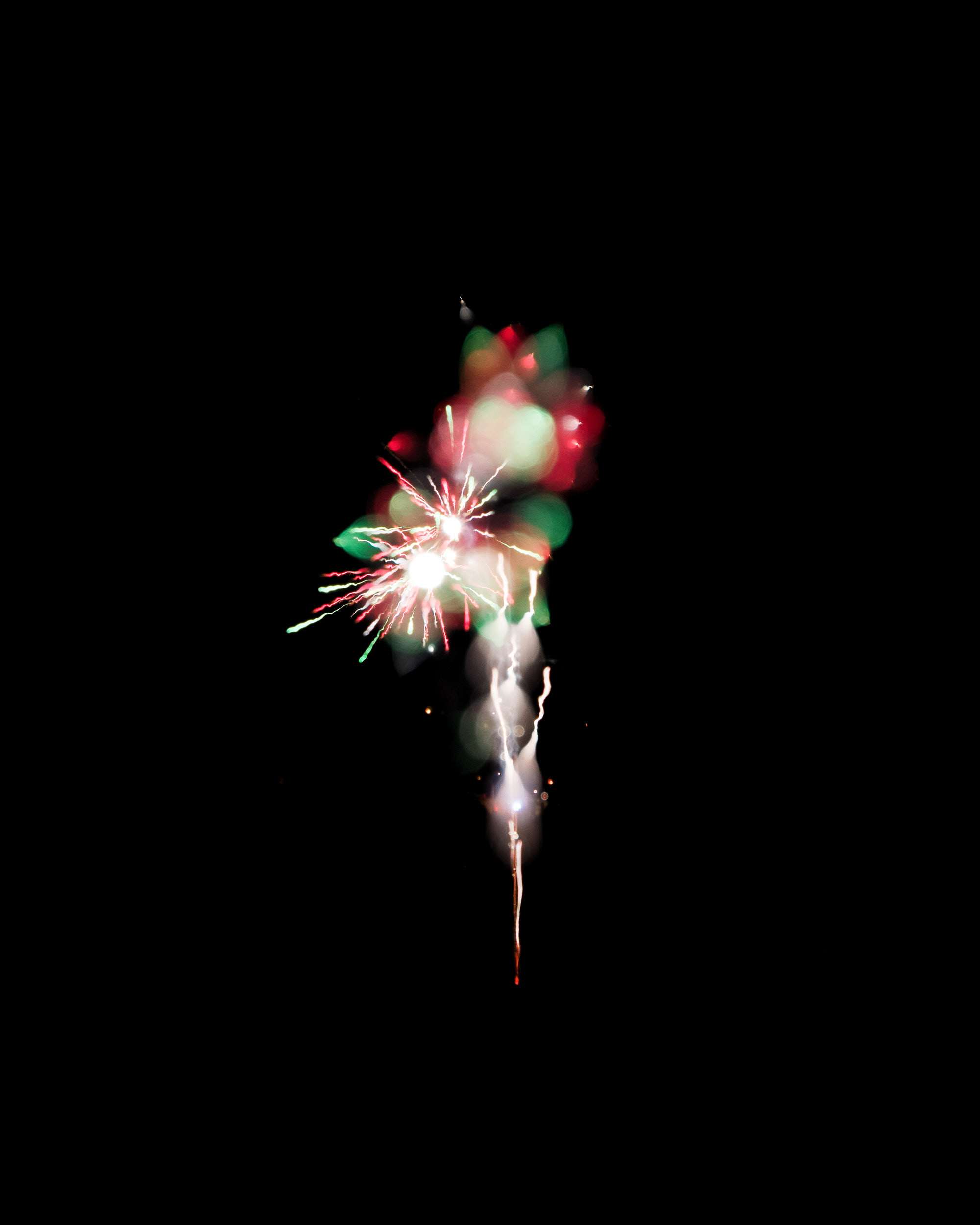Firework Photo, Night Flower 27, WIRED Magazine 