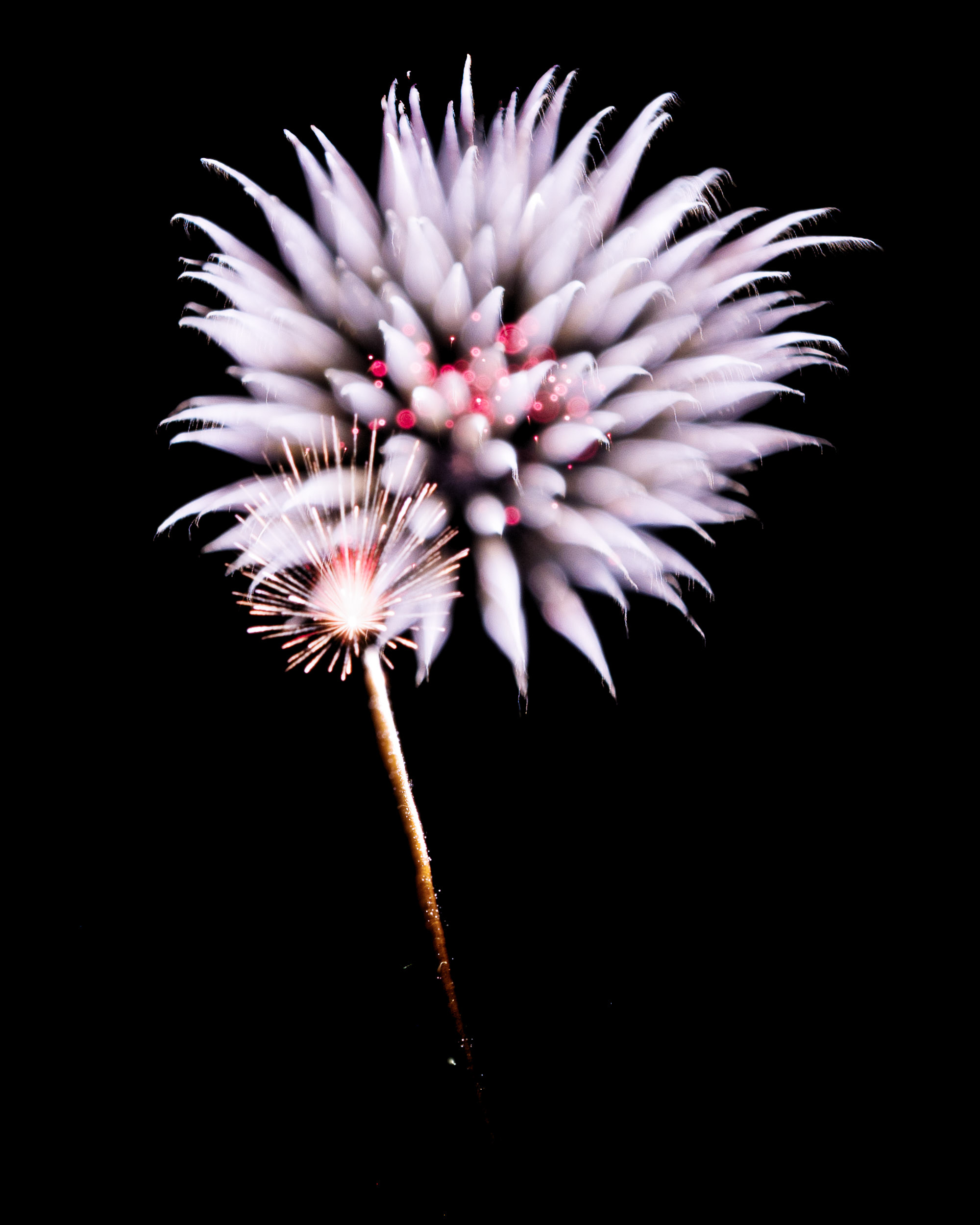 Firework Photo Night Flower 23, WIRED Magazine 