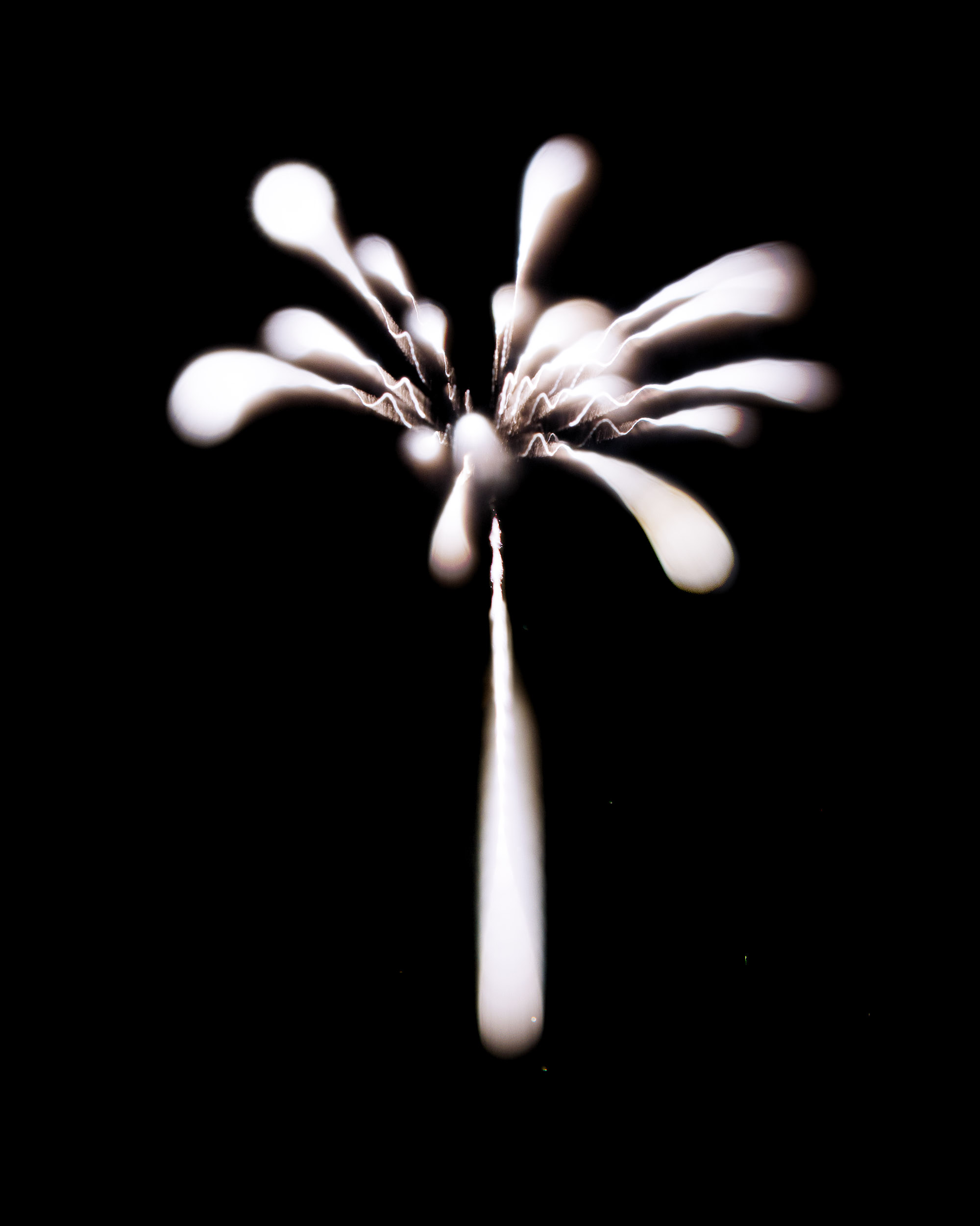 Firework Photo, Night Flower 22, WIRED Magazine 