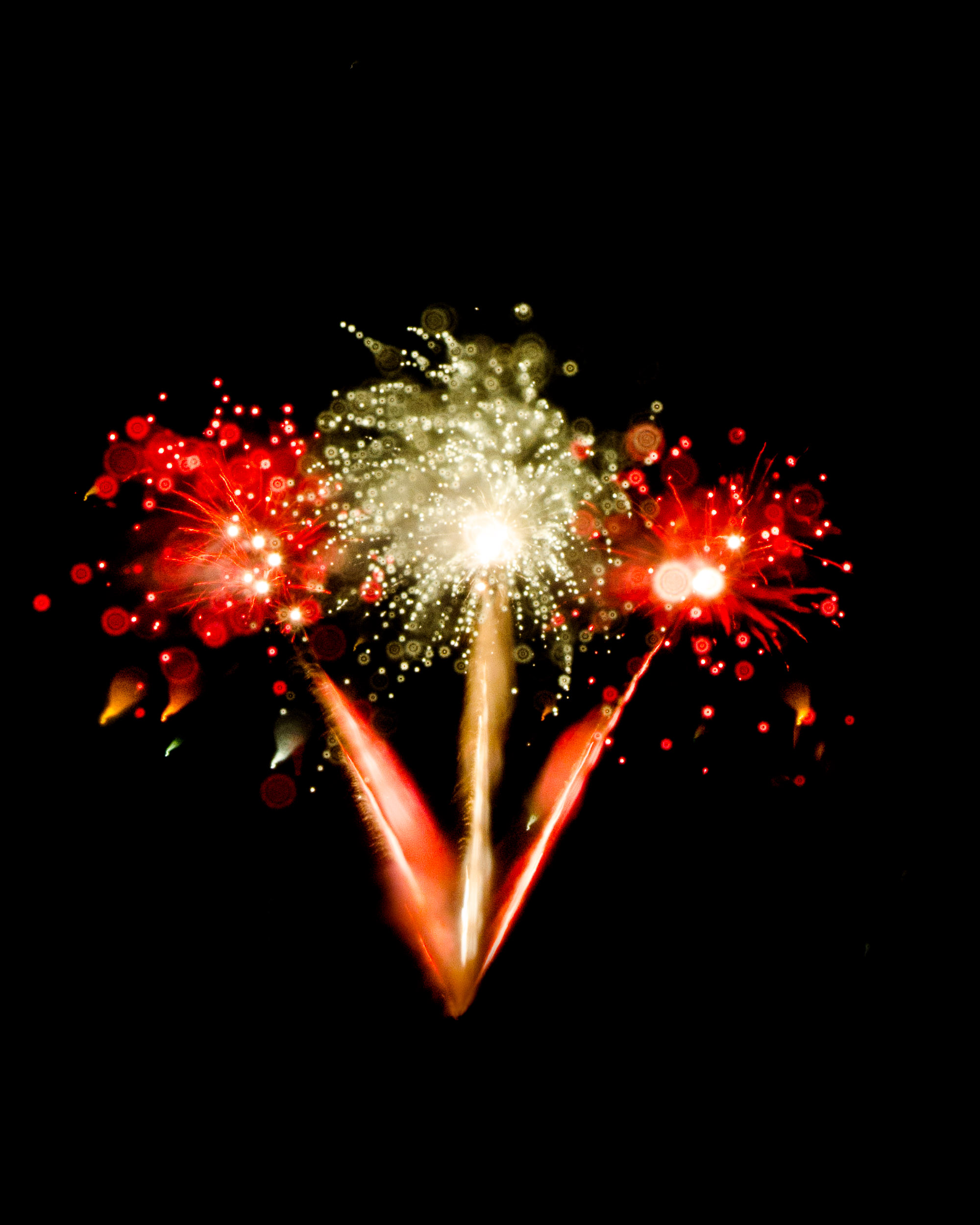 Firework Photo, Night Flower 36, WIRED Magazine