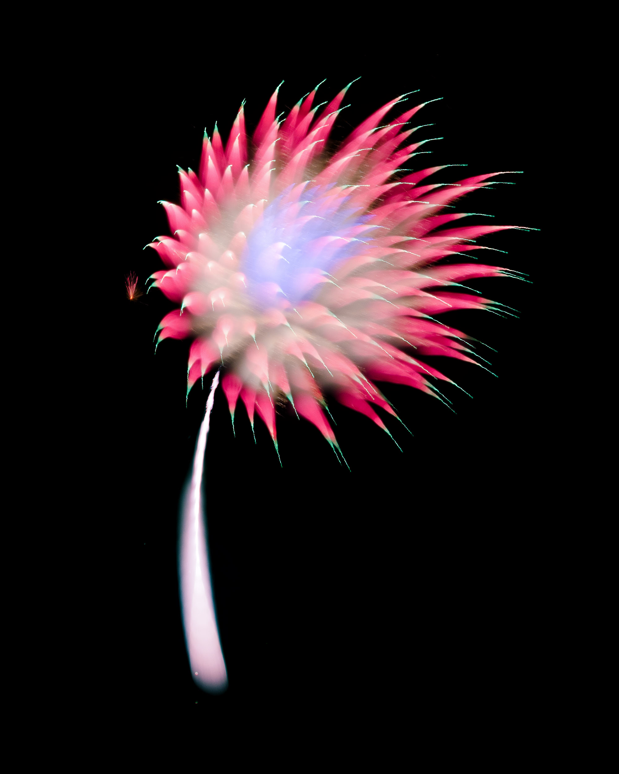 Firework Photo, Night Flower 16, WIRED Magazine 