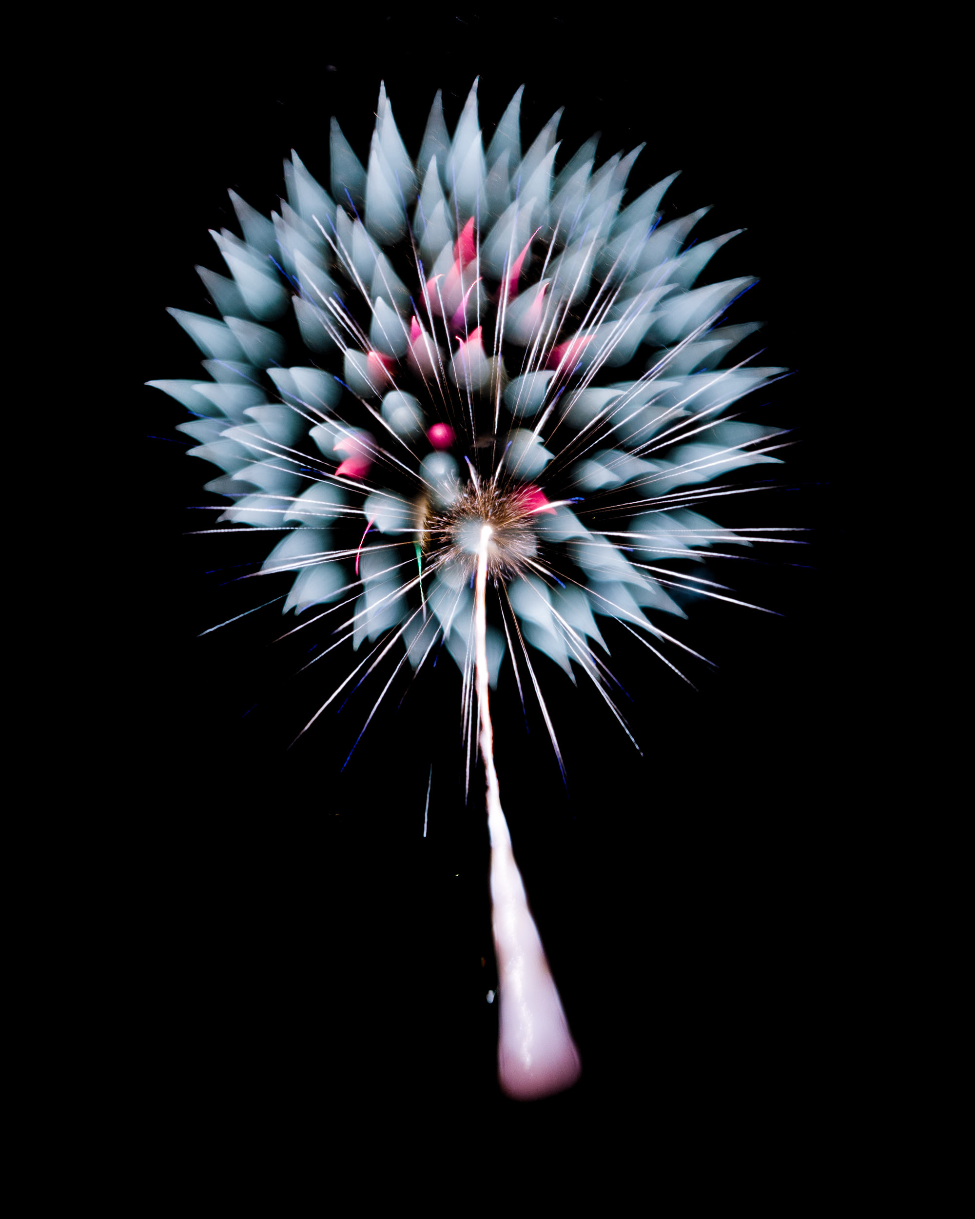 Firework Photo, Night Flower 15, WIRED Magazine
