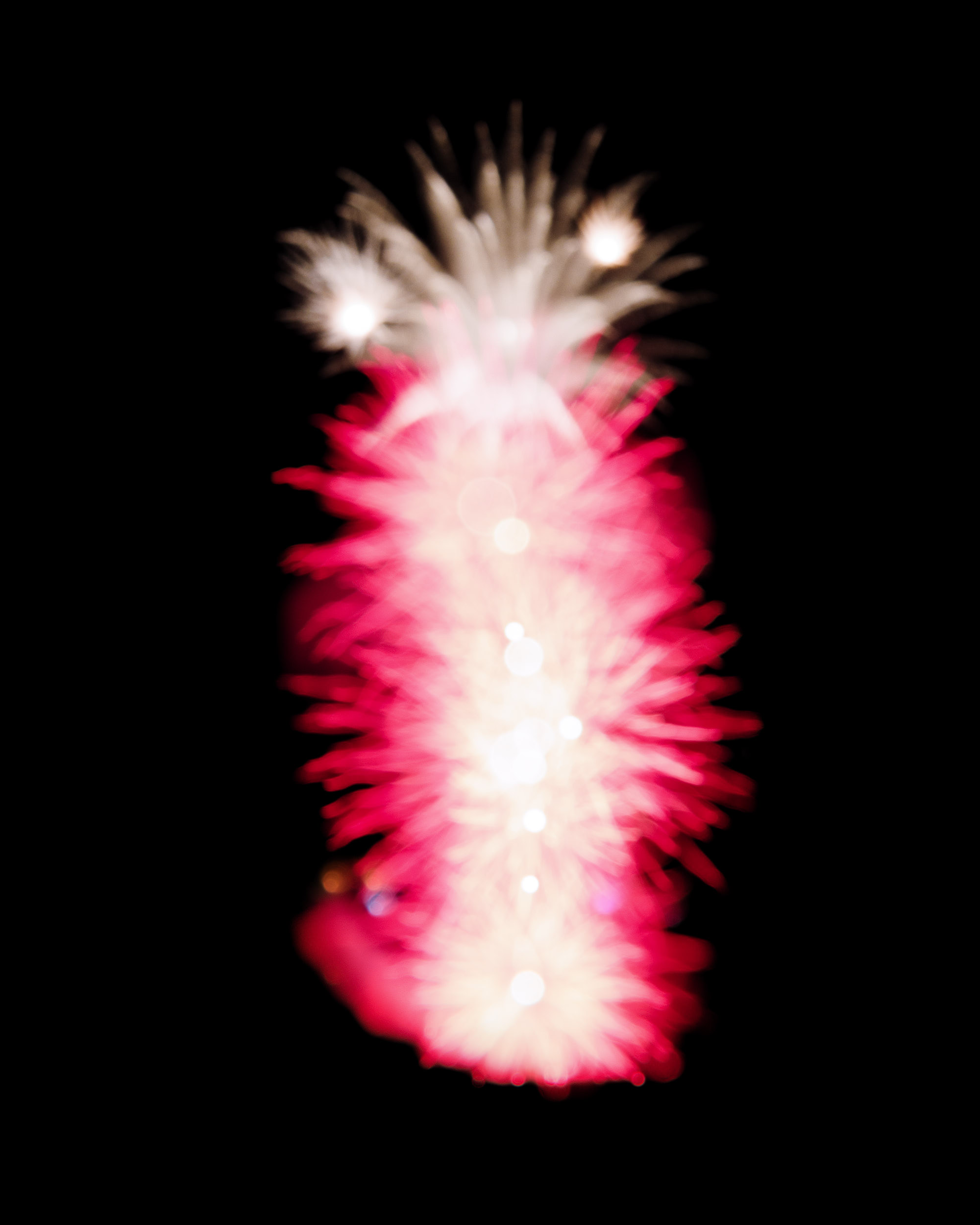Firework Photo, Night Flower 14, WIRED Magazine 