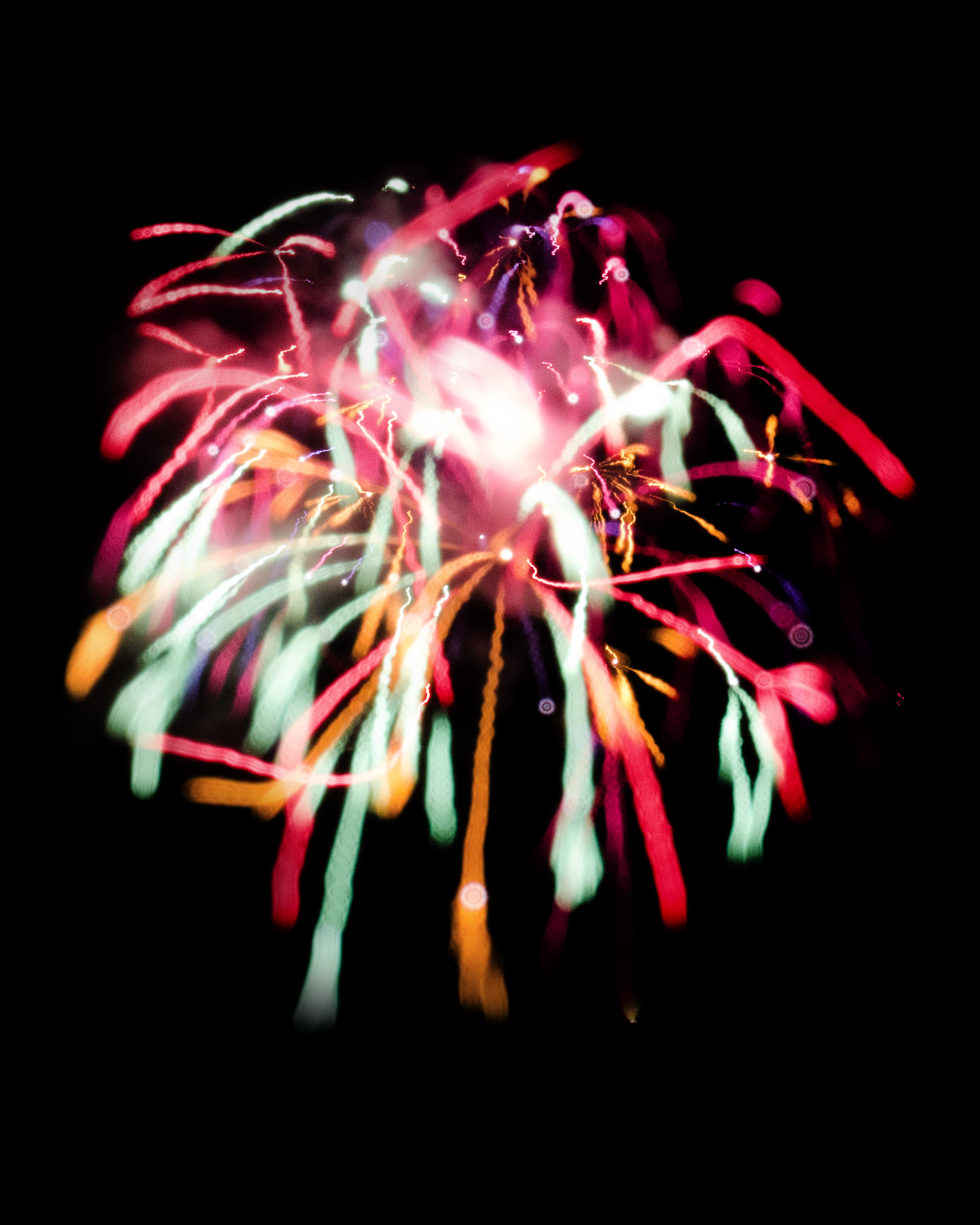 Firework Photo, Night Flower 11, WIRED Magazine