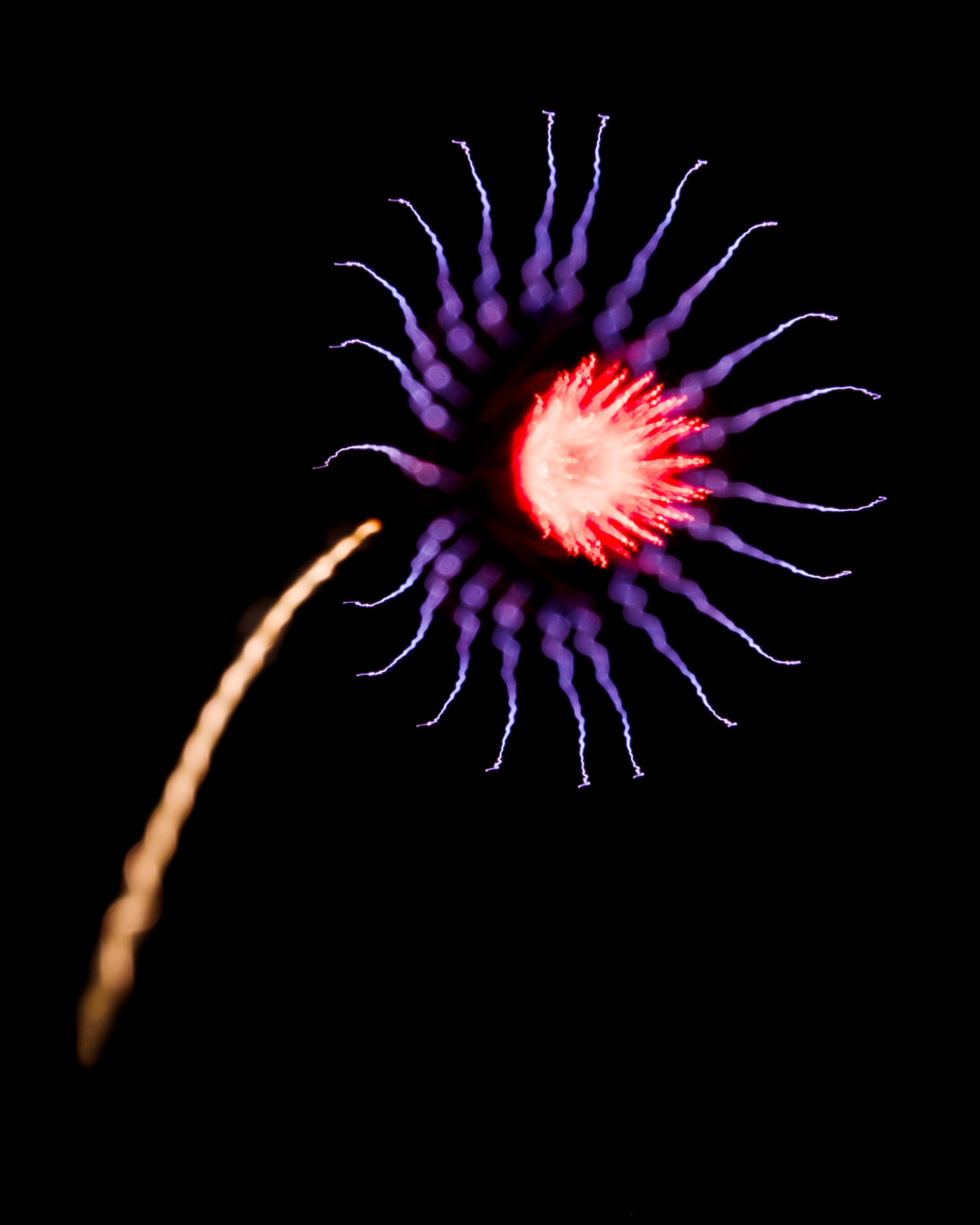 Firework Photo, Night Flower 34, WIRED Magazine 