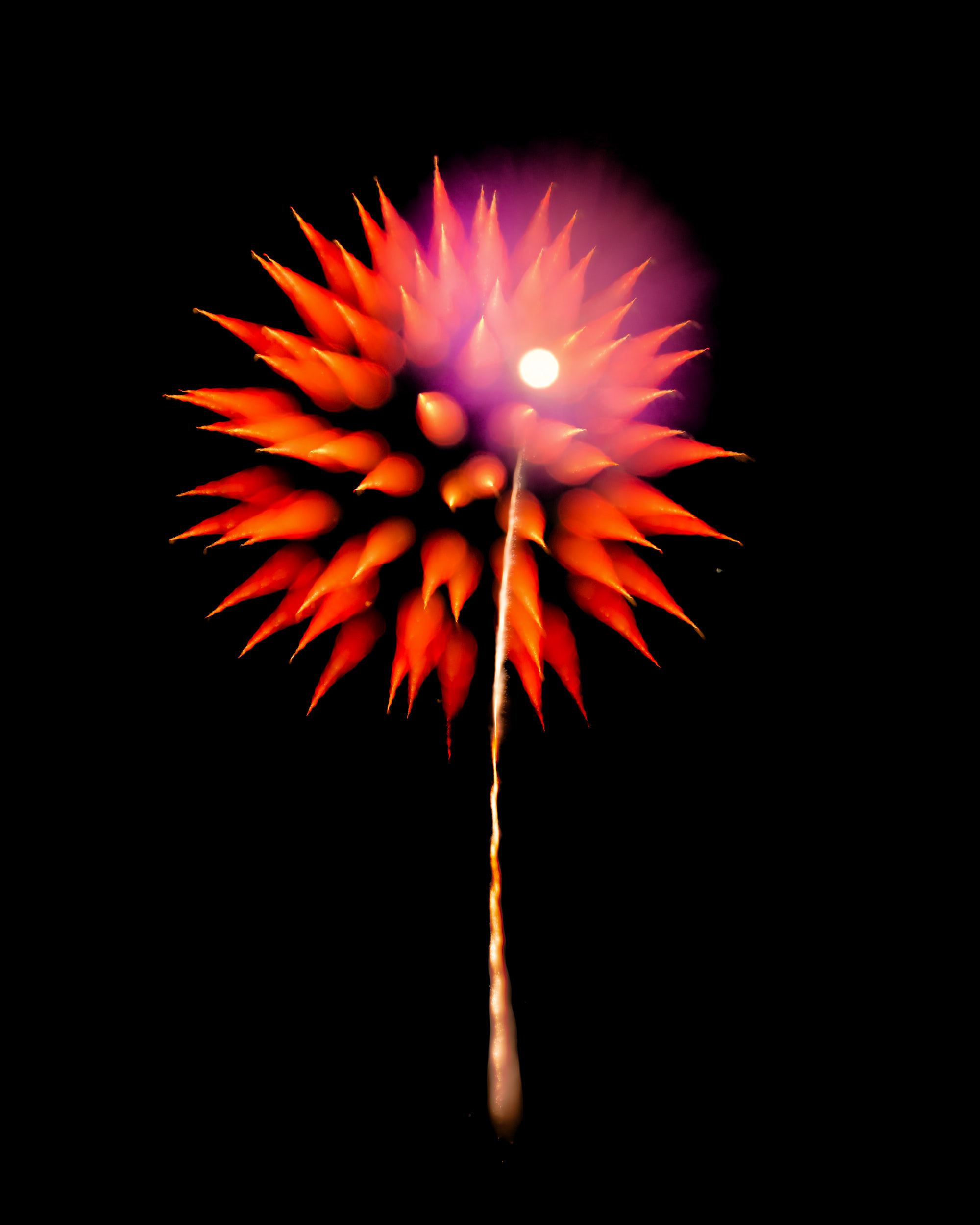 Firework Photo, Night Flower 37, WIRED Magazine