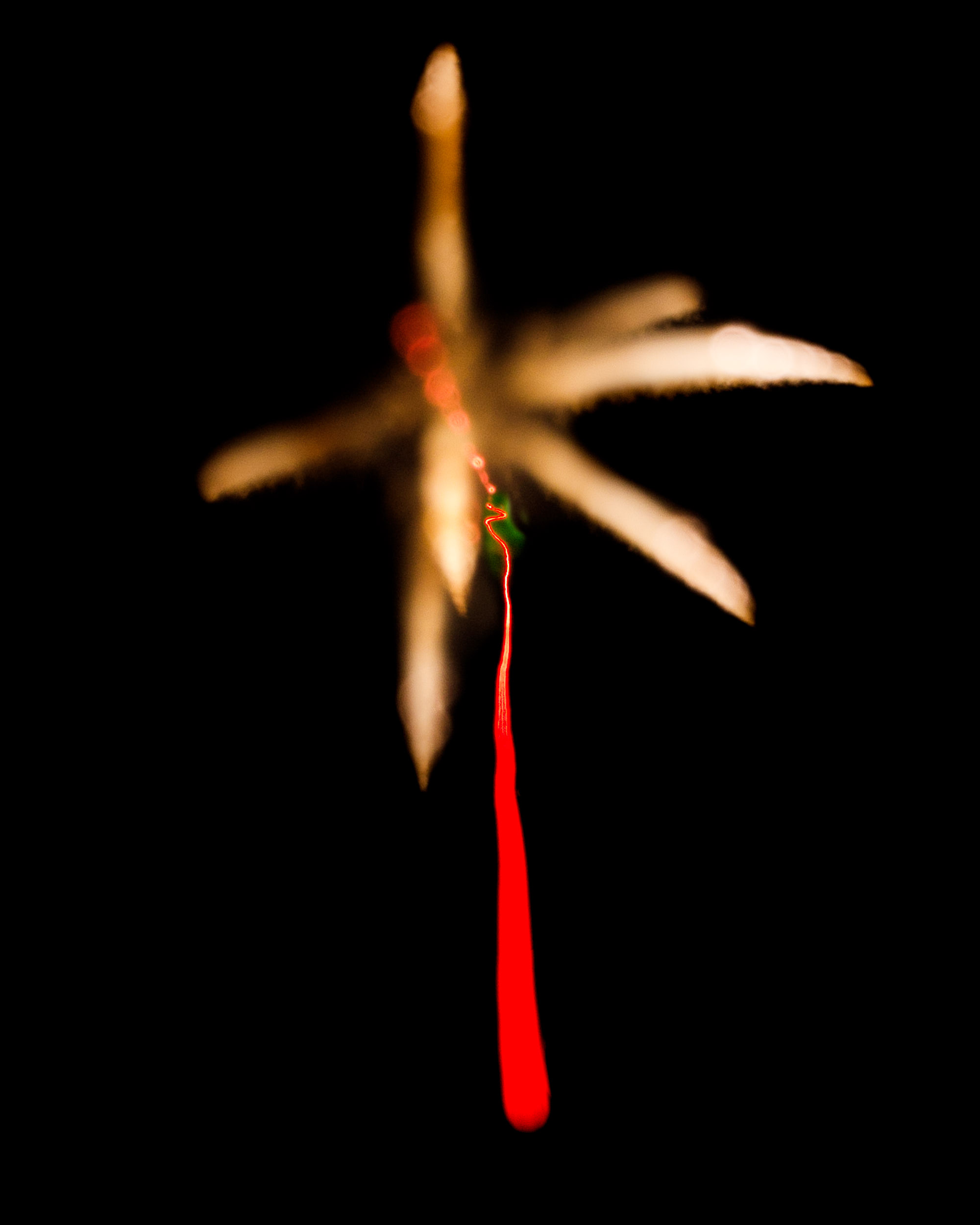 Firework Photo, Night Flower 34, WIRED Magazine 