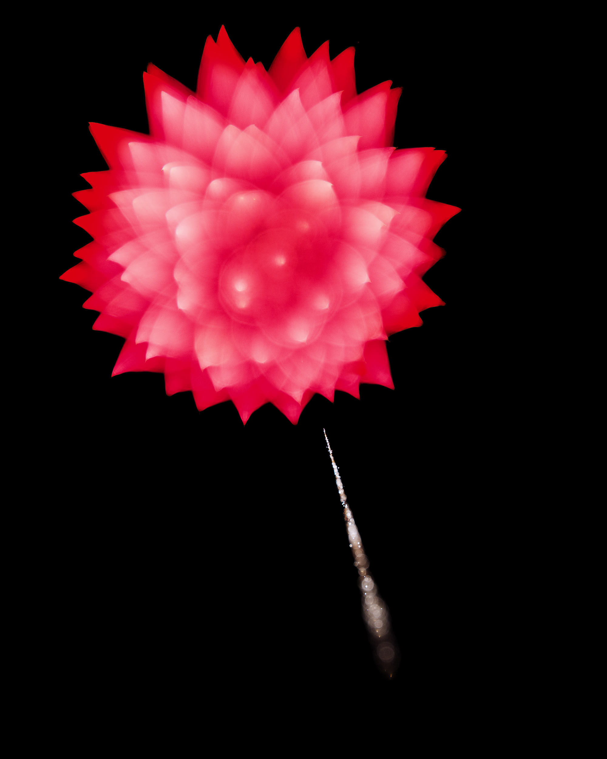 Firework Photo, Night Flower 38, WIRED Magazine 