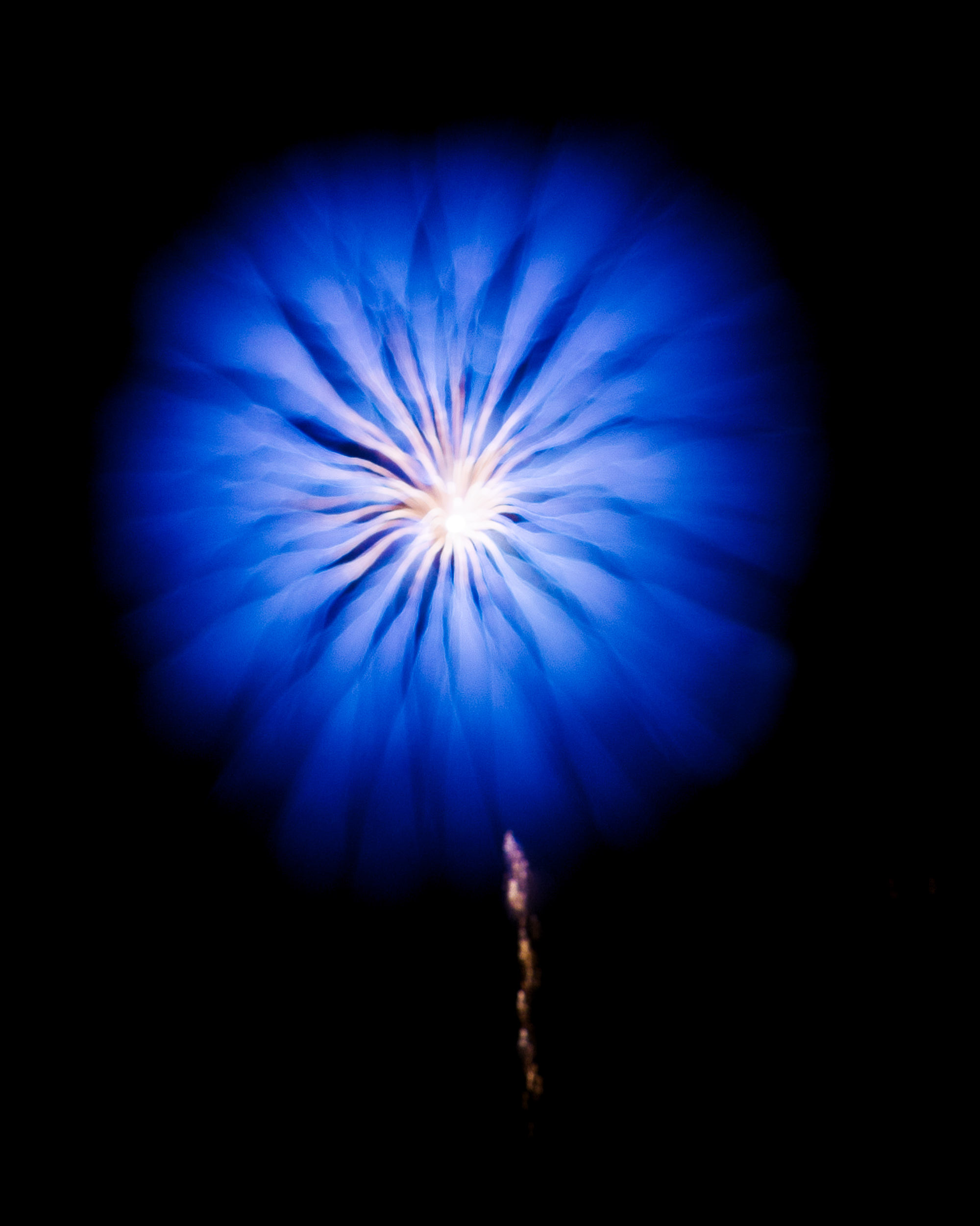 Firework Photo, Night Flower 31, WIRED Magazine 